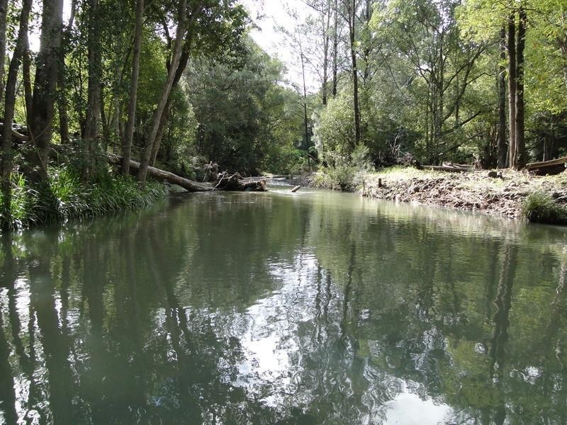 94 Boormans Road, Limpinwood NSW 2484