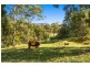 83 Nolans Road, Stokers Siding NSW 2484