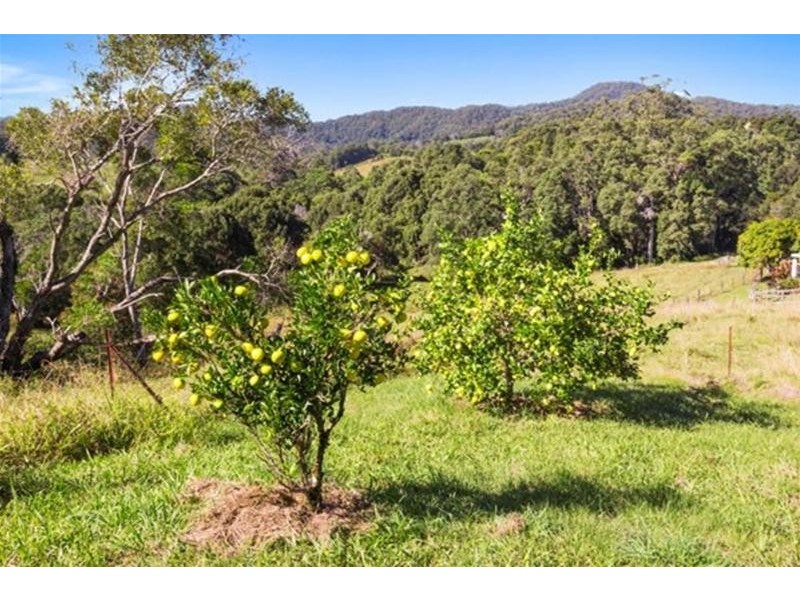 83 Nolans Road, Stokers Siding NSW 2484