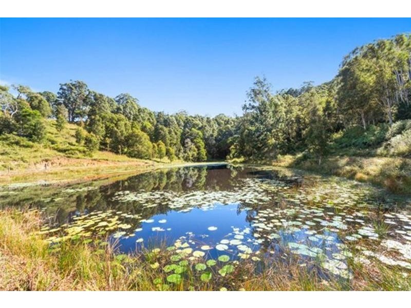 83 Nolans Road, Stokers Siding NSW 2484