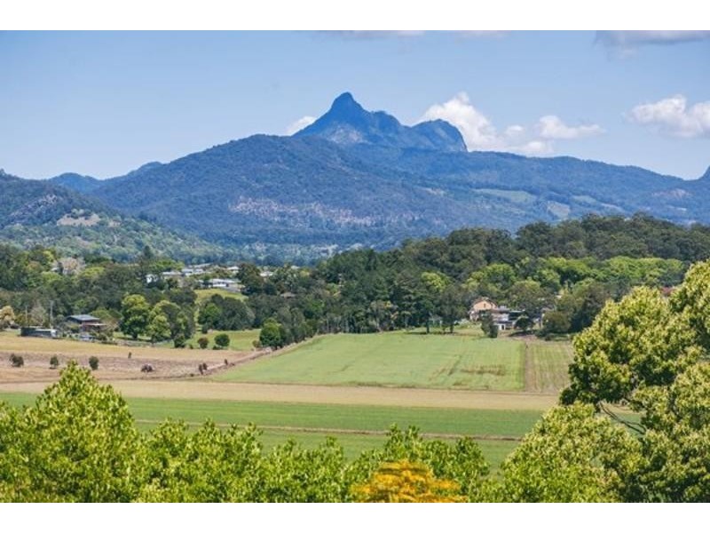 92 Byangum Road, Murwillumbah NSW 2484