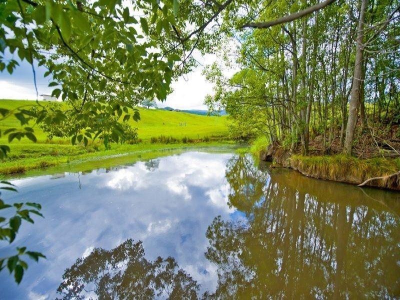 491 Nobbys Creek Road, Nobbys Creek NSW 2484