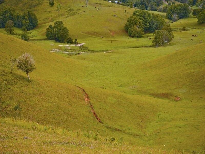 491 Nobbys Creek Road, Nobbys Creek NSW 2484