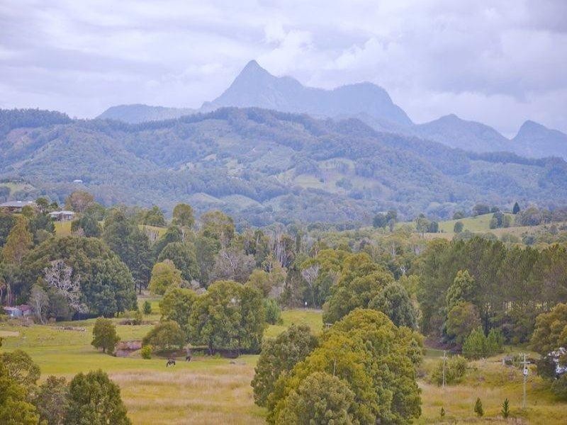 491 Nobbys Creek Road, Nobbys Creek NSW 2484