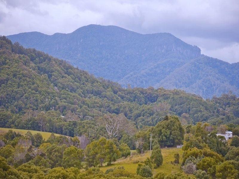 491 Nobbys Creek Road, Nobbys Creek NSW 2484