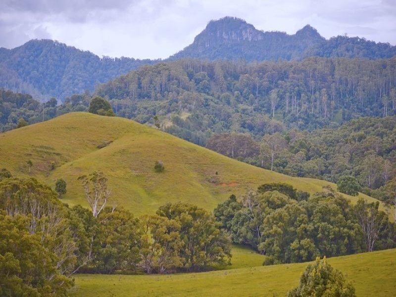 491 Nobbys Creek Road, Nobbys Creek NSW 2484