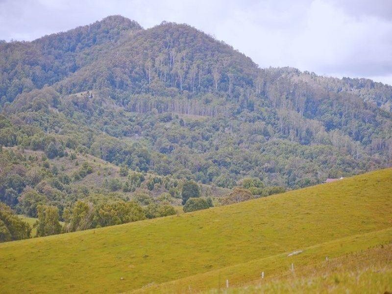 491 Nobbys Creek Road, Nobbys Creek NSW 2484