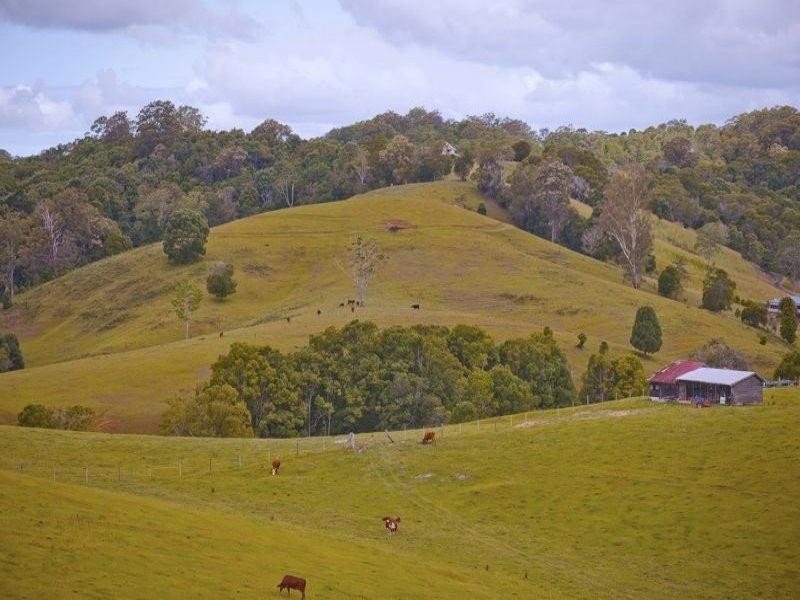 491 Nobbys Creek Road, Nobbys Creek NSW 2484