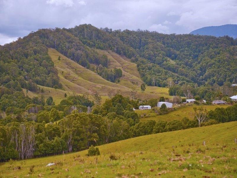 491 Nobbys Creek Road, Nobbys Creek NSW 2484