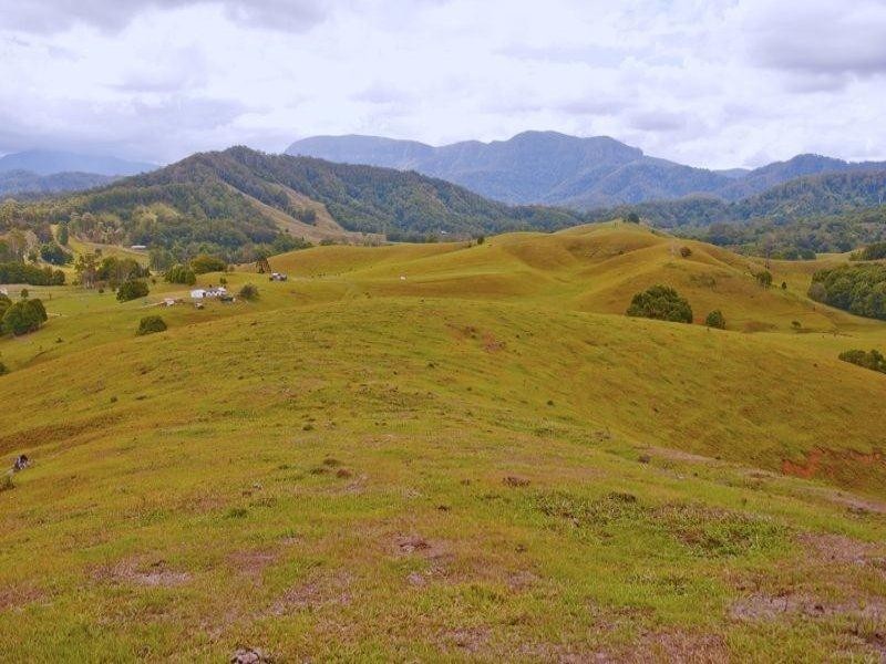 491 Nobbys Creek Road, Nobbys Creek NSW 2484