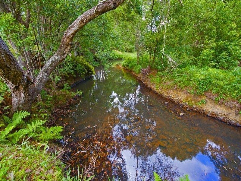 491 Nobbys Creek Road, Nobbys Creek NSW 2484