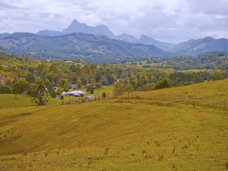 491 Nobbys Creek Road, Nobbys Creek NSW 2484