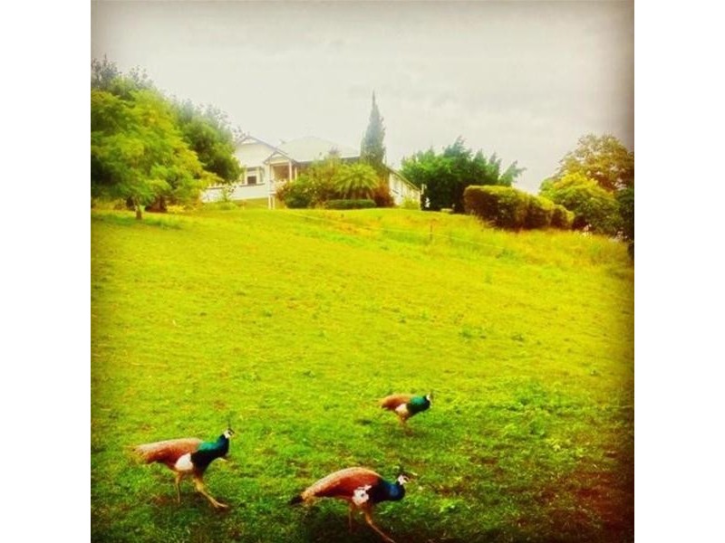 134 Lagoon Drive, Myocum NSW 2481