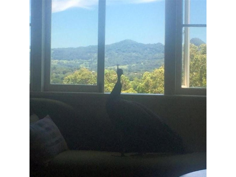 134 Lagoon Drive, Myocum NSW 2481