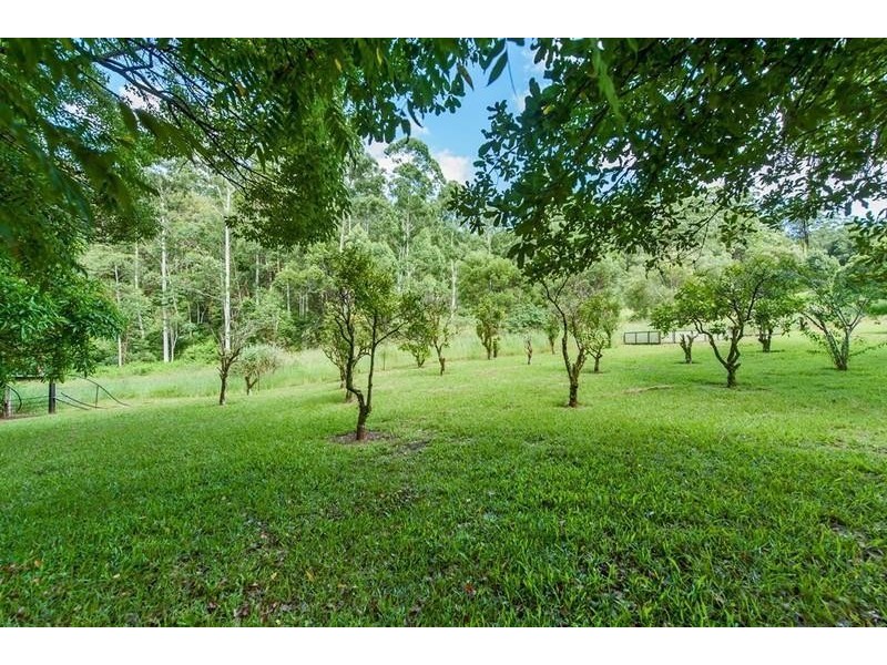 1983 Numinbah Road, Chillingham NSW 2484