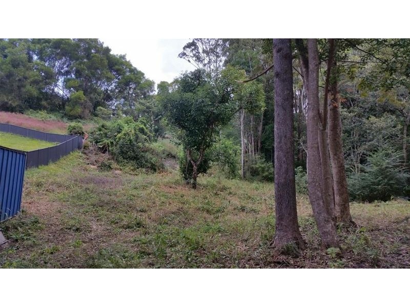 6181 Tweed Valley Way, Burringbar NSW 2483
