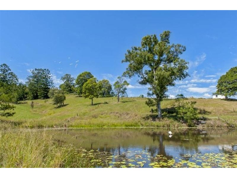 2908 kyogle Road, Kunghur NSW 2484