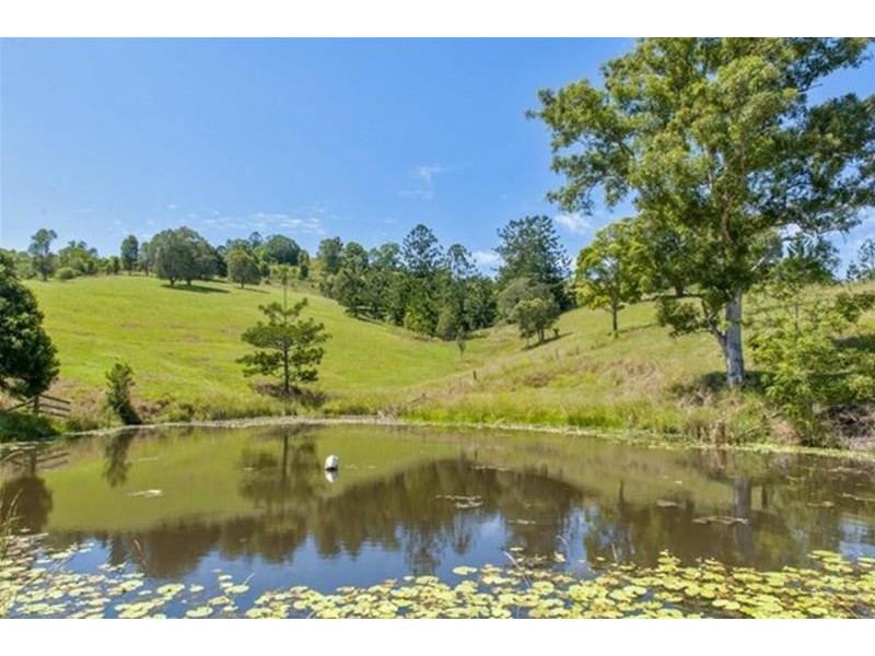 2908 kyogle Road, Kunghur NSW 2484