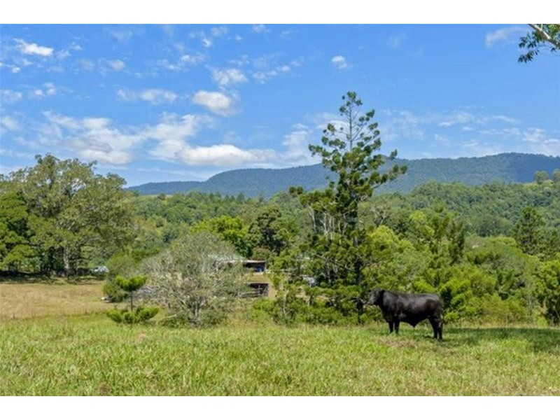 2908 kyogle Road, Kunghur NSW 2484