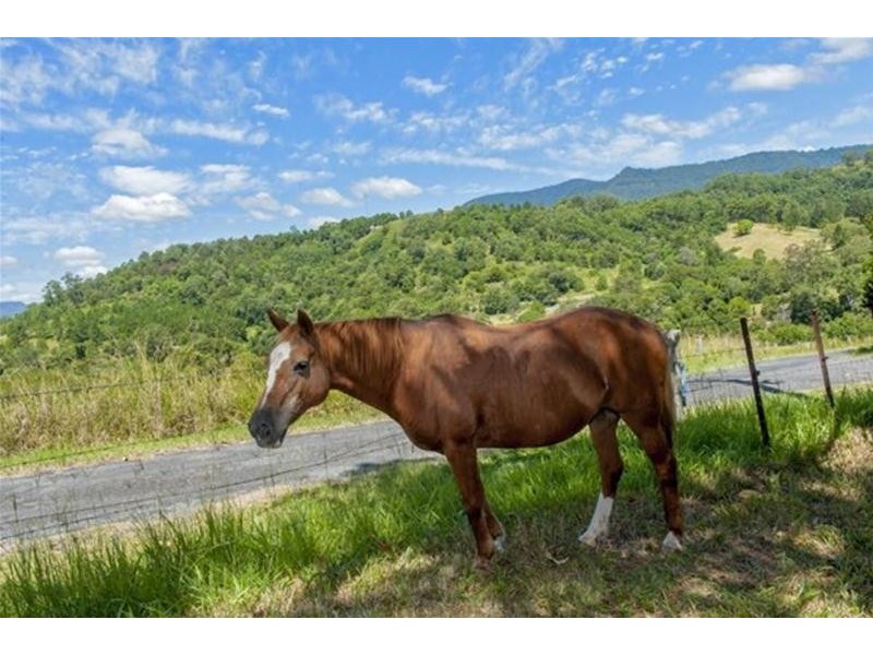 2908 kyogle Road, Kunghur NSW 2484