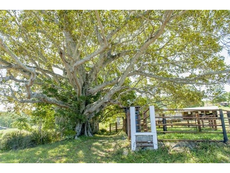 2908 kyogle Road, Kunghur NSW 2484