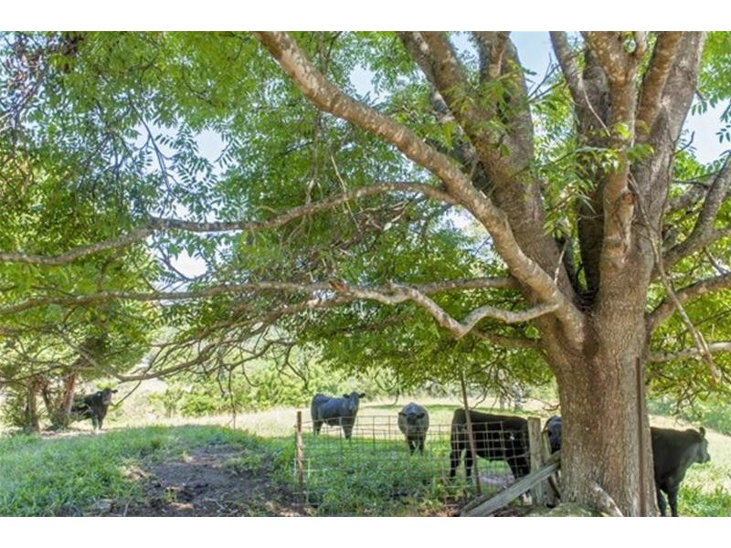 2908 kyogle Road, Kunghur NSW 2484