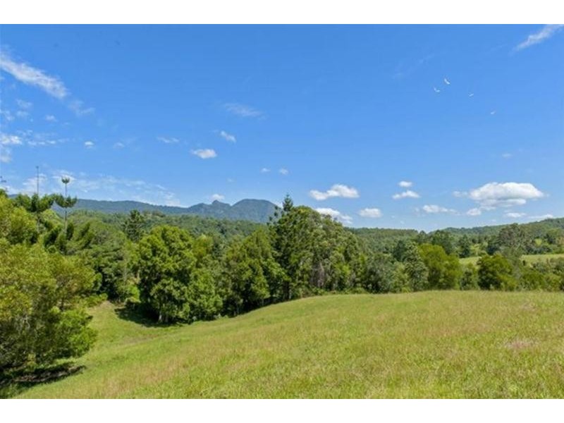 2908 kyogle Road, Kunghur NSW 2484