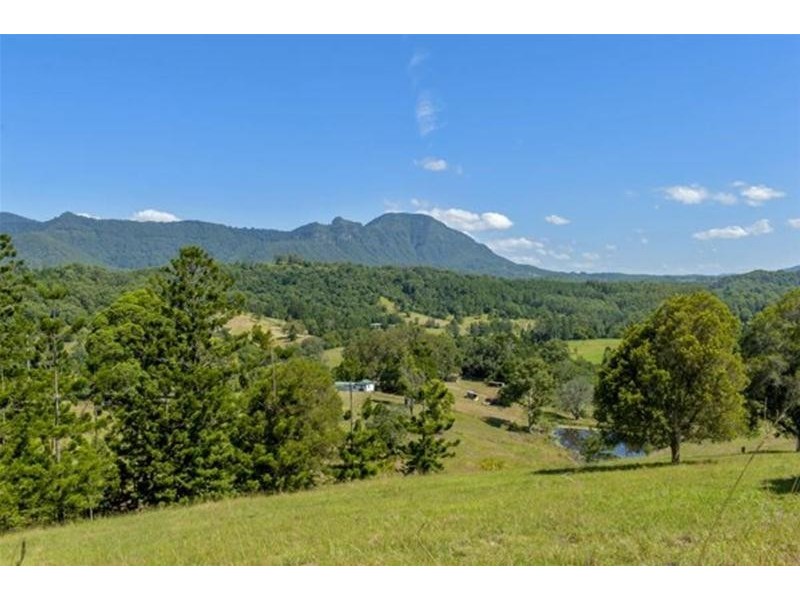 2908 kyogle Road, Kunghur NSW 2484