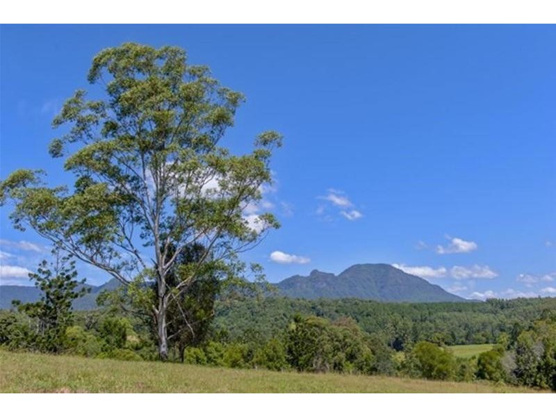 2908 kyogle Road, Kunghur NSW 2484