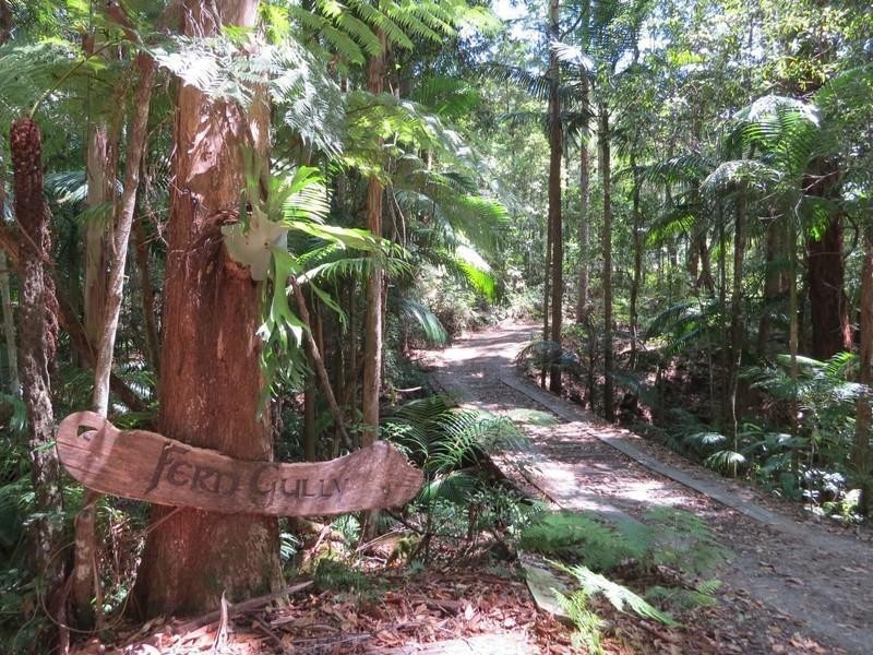 1283 Byrrill Creek Road, Brays Creek NSW 2484