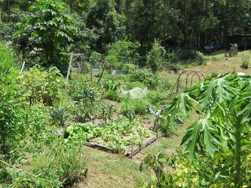 1283 Byrrill Creek Road, Brays Creek NSW 2484