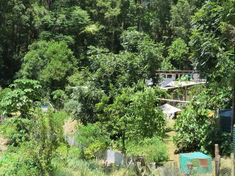 1283 Byrrill Creek Road, Brays Creek NSW 2484