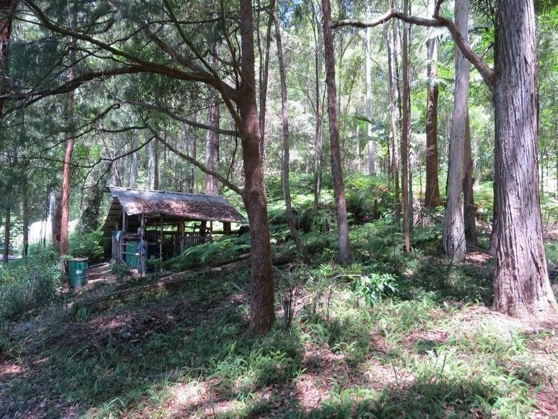 1283 Byrrill Creek Road, Brays Creek NSW 2484