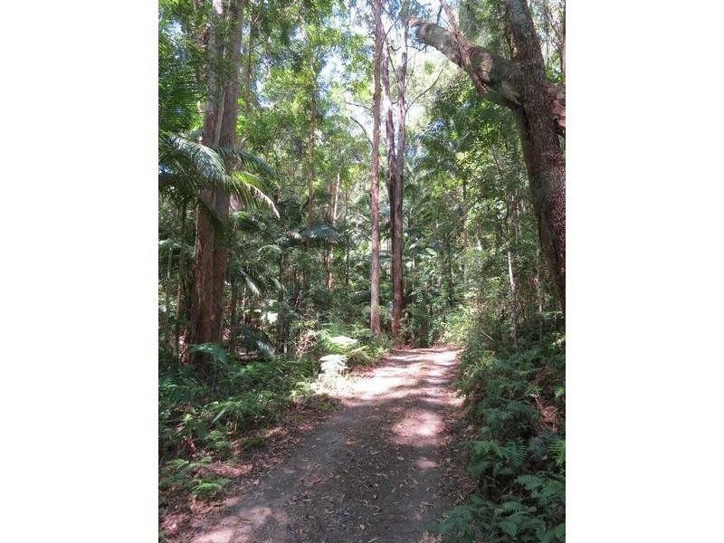 1283 Byrrill Creek Road, Brays Creek NSW 2484