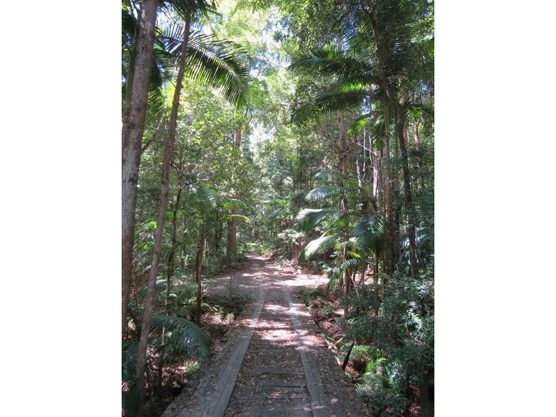 1283 Byrrill Creek Road, Brays Creek NSW 2484