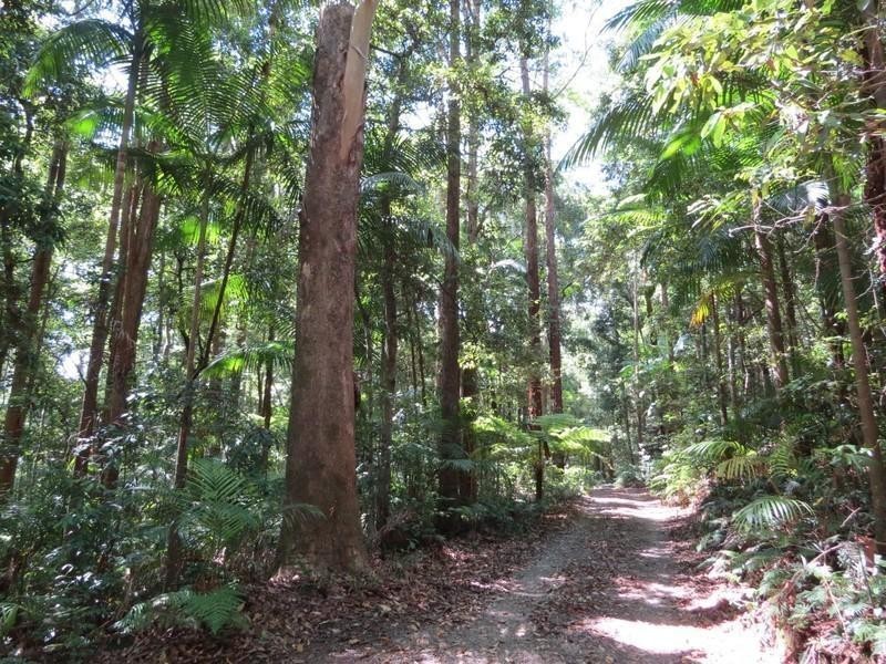 1283 Byrrill Creek Road, Brays Creek NSW 2484