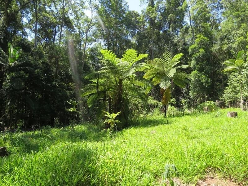 1283 Byrrill Creek Road, Brays Creek NSW 2484