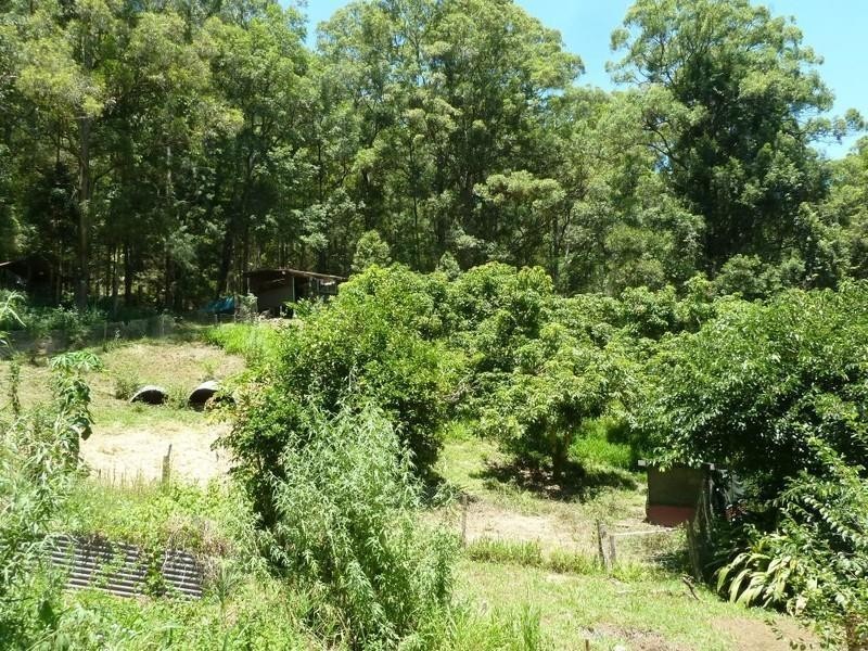 1283 Byrrill Creek Road, Brays Creek NSW 2484