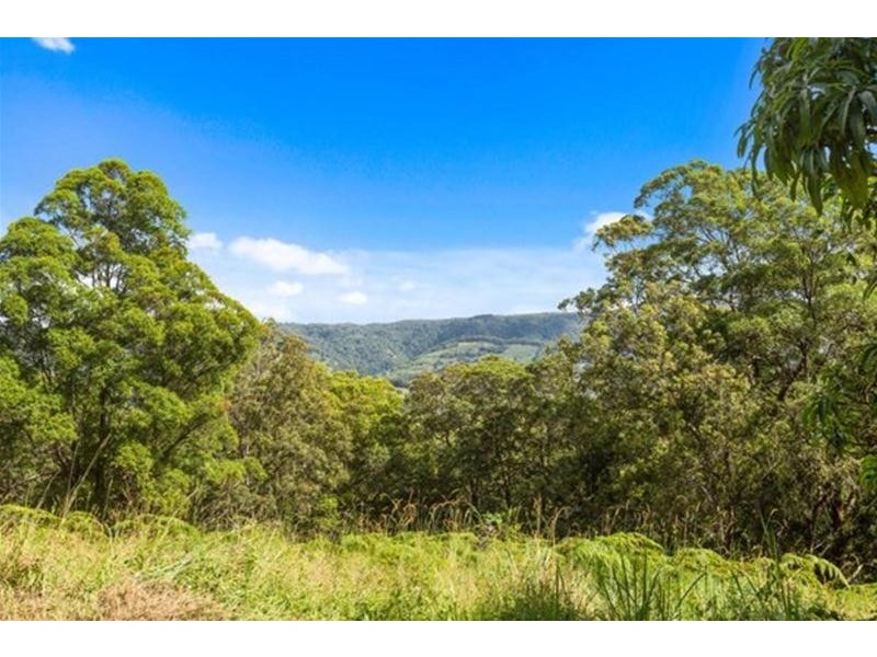 110 Richards Deviation, Dunbible NSW 2484