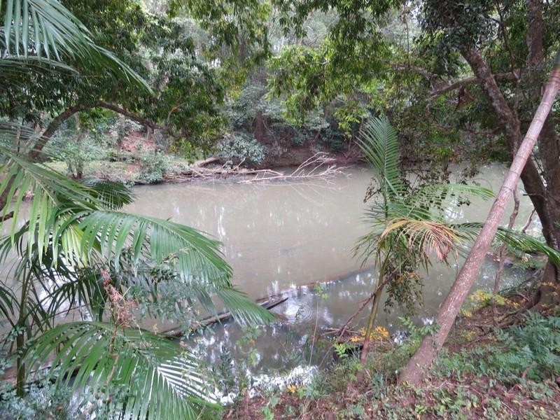 1440 Kyogle Road, Uki NSW 2484