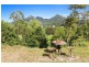 1531 Kyogle Road, Uki NSW 2484