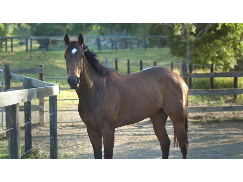 937 Smiths Creek Road, Stokers Siding NSW 2484