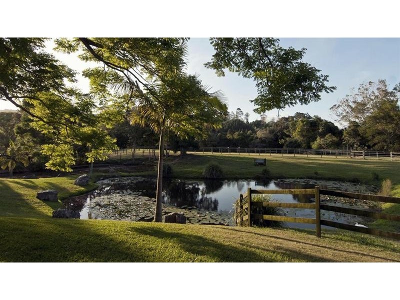 937 Smiths Creek Road, Stokers Siding NSW 2484