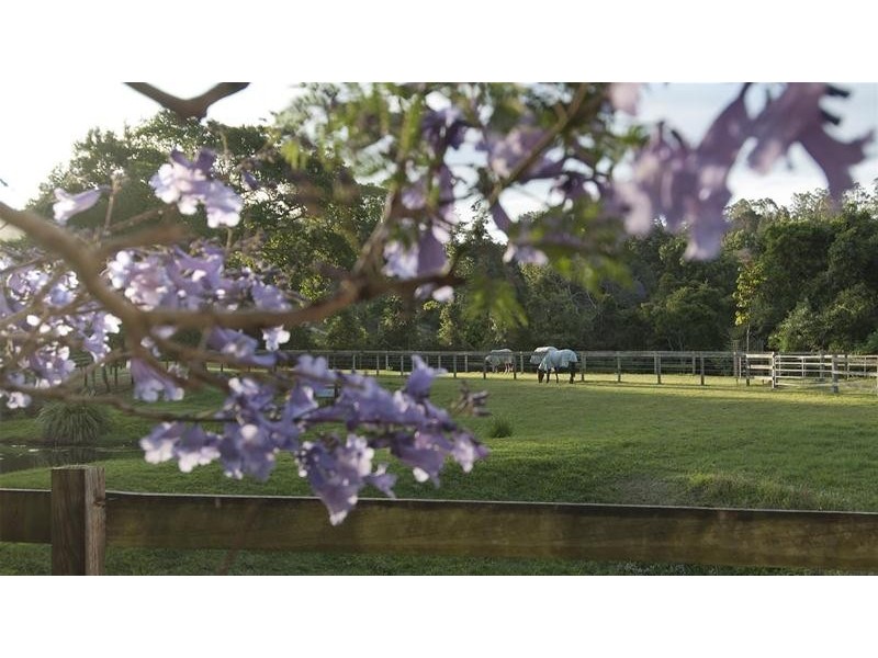 937 Smiths Creek Road, Stokers Siding NSW 2484