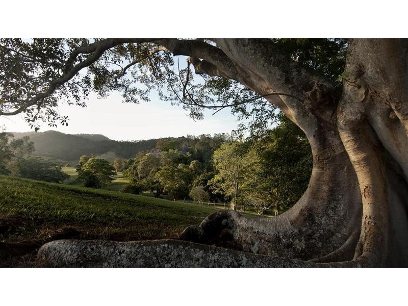 937 Smiths Creek Road, Stokers Siding NSW 2484