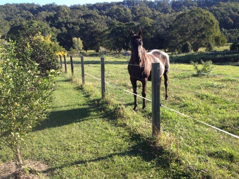 809 Dulguigan Road, North Tumbulgum NSW 2490