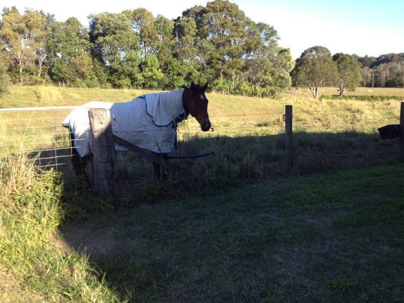 809 Dulguigan Road, North Tumbulgum NSW 2490