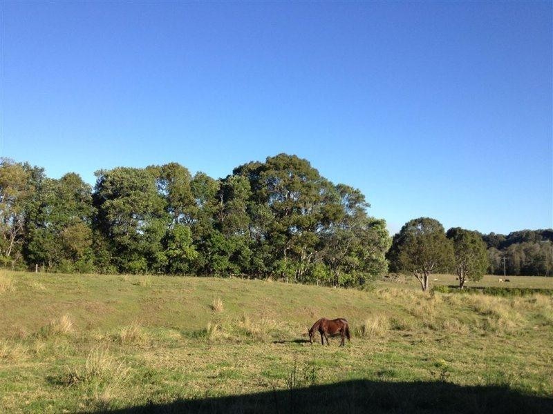 809 Dulguigan Road, North Tumbulgum NSW 2490