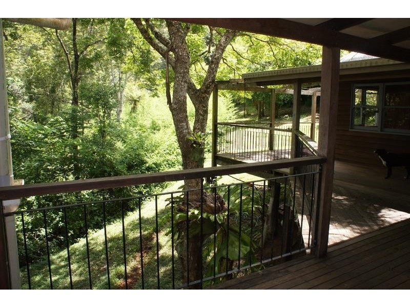 220 Hazelbrook Road, Uki NSW 2484