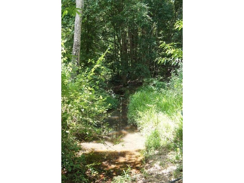 220 Hazelbrook Road, Uki NSW 2484